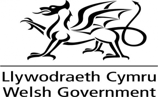 Industry Intelligence Reporting for Welsh Government